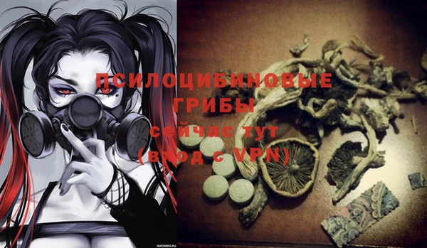 дурь Балахна