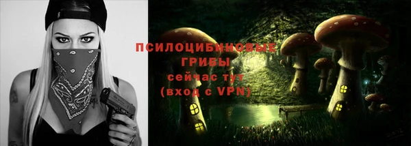 дурь Балахна