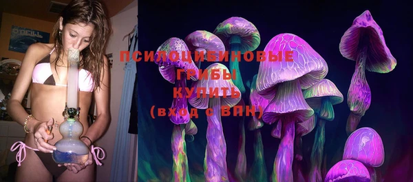 дурь Балахна