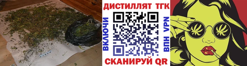 Купить закладки  Семёнов  ТГК гашишное масло 