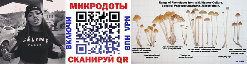 Галлюциногенные грибы мицелий  Купить закладки  Семёнов 